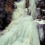 American Wilderness 104