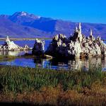 American Wilderness 120