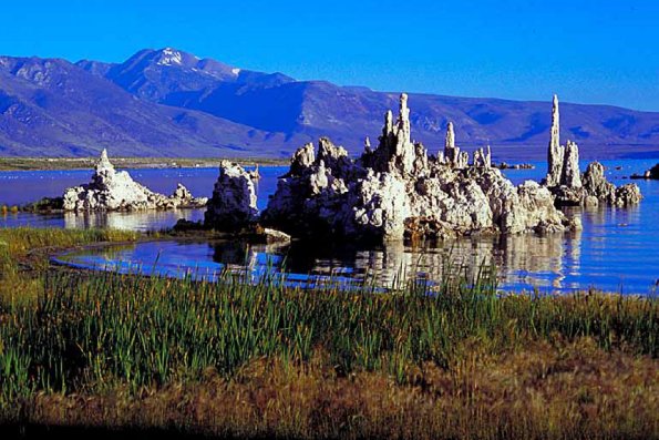 American Wilderness 120
