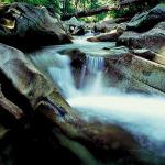 American Wilderness 128