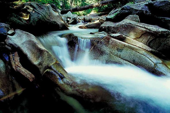 American Wilderness 128