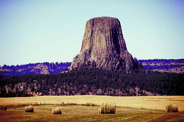 American Wilderness 154