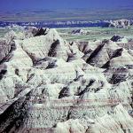 American Wilderness 22