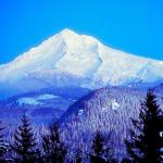 American Wilderness 24