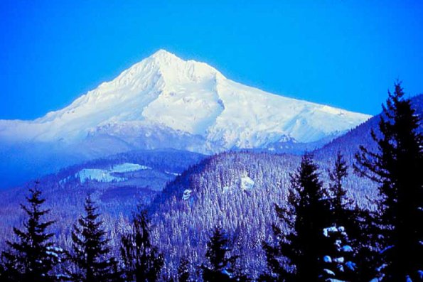 American Wilderness 24