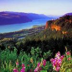 American Wilderness 26
