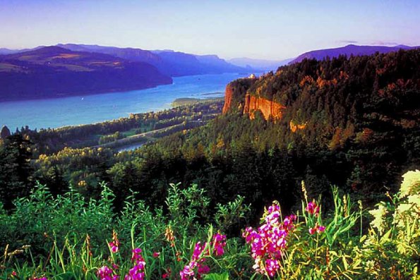American Wilderness 26