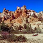 American Wilderness 40