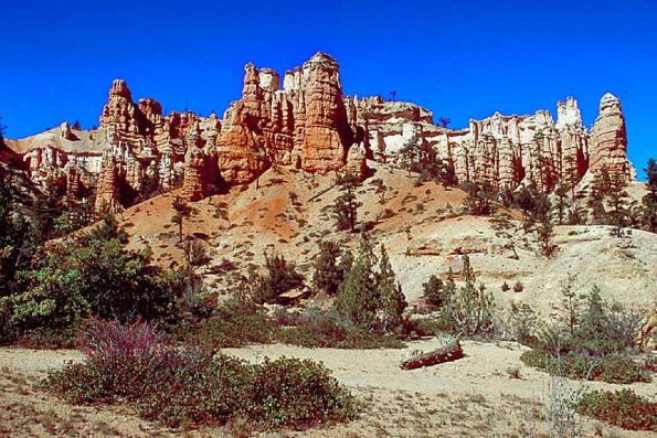 American Wilderness 40