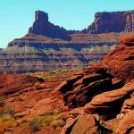 American Wilderness 42