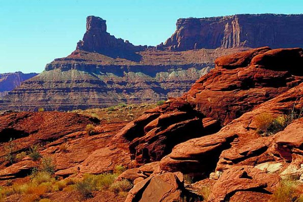 American Wilderness 42