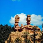 American Wilderness 58