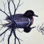 Bird Illustrations 0012
