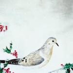 Bird Illustrations 0065