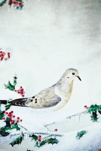 Bird Illustrations 0065