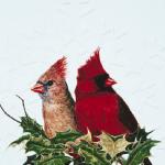 Bird Illustrations uid 1003954