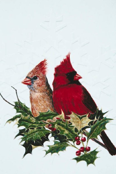 Bird Illustrations uid 1003954