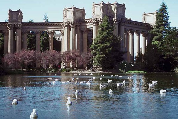 Birds floating in pond by columns