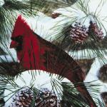 Cardinal on snow covered pine