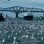 Champlain Bridge Montreal Qc uid 1038862