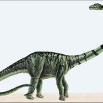 Dinosaur Illustrations 0010