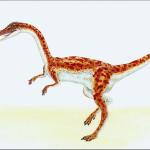 Dinosaur Illustrations 0013