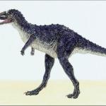Dinosaur Illustrations 0014