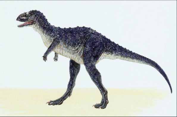 Dinosaur Illustrations 0014