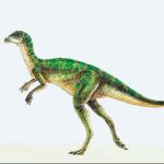 Dinosaur Illustrations 0018