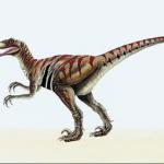 Dinosaur Illustrations 001