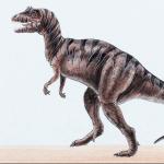 Dinosaur Illustrations 0024