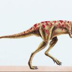 Dinosaur Illustrations 0026