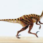 Dinosaur Illustrations 002