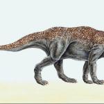 Dinosaur Illustrations 0037