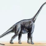 Dinosaur Illustrations 0063