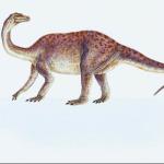 Dinosaur Illustrations 0067