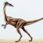 Dinosaur Illustrations 0068