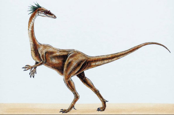 Dinosaur Illustrations 0068