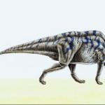 Dinosaur Illustrations 006