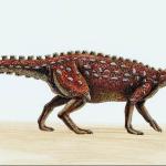 Dinosaur Illustrations 0075