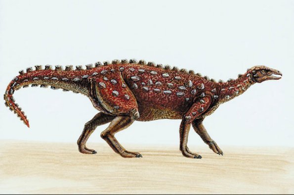 Dinosaur Illustrations 0075