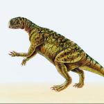 Dinosaur Illustrations 007