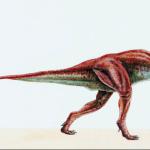 Dinosaur Illustrations 0080