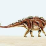 Dinosaur Illustrations 0085