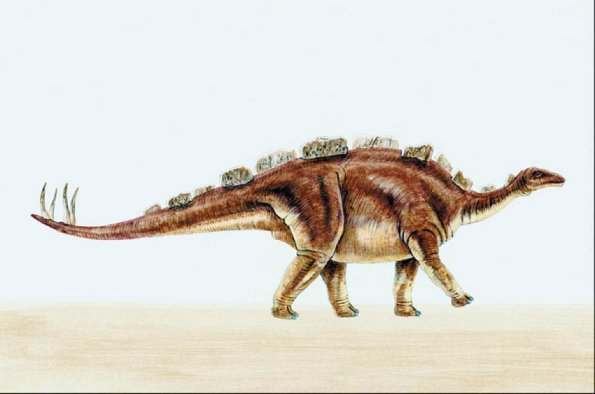 Dinosaur Illustrations 0085