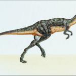 Dinosaur Illustrations 0088