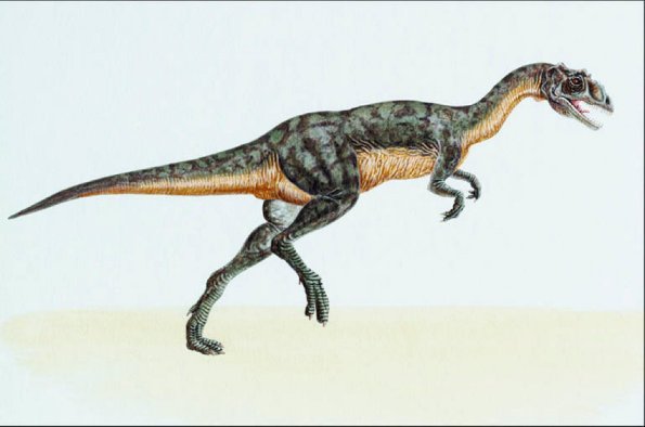 Dinosaur Illustrations 0088