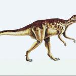 Dinosaur Illustrations 0091