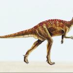 Dinosaur Illustrations 0096
