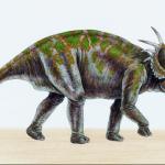 Dinosaur Illustrations 009